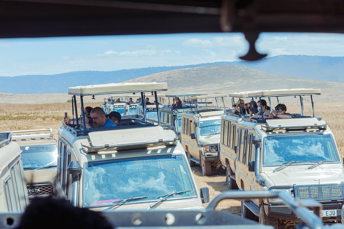 La beauté des parcs du Ngorongoro et du Serengeti captive les agents de voyages indiens en visite
