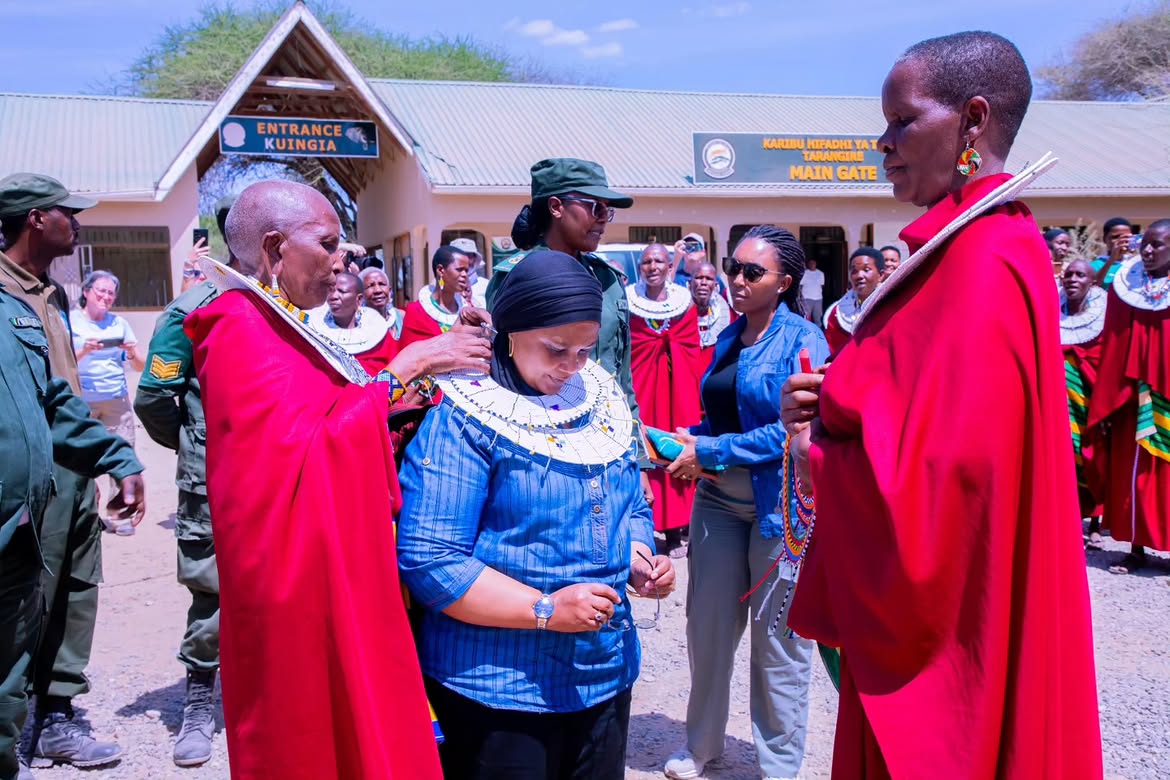 Le parc Tarangire chargé d'améliorer ses stratégies de marketing pour attirer plus de touristes