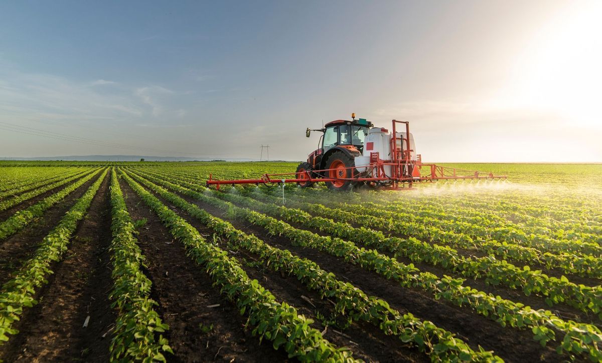 Les mêmes dirigeants doivent créer des industries agro-alimentaires