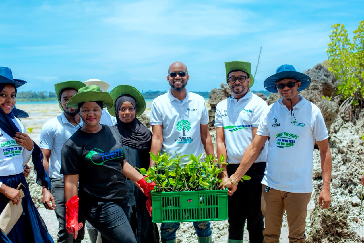 NCBA intensifie la conservation côtière avec 13 000 mangroves à Zanzibar