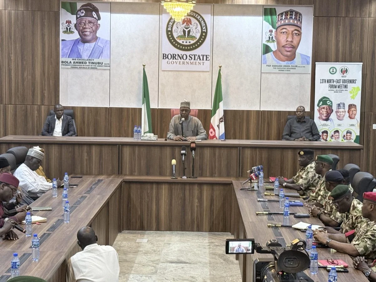 Zulum urges Tinubu to sustain military operations in Borno